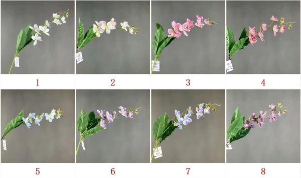 YSS25114_色卡 YSS25114_色卡