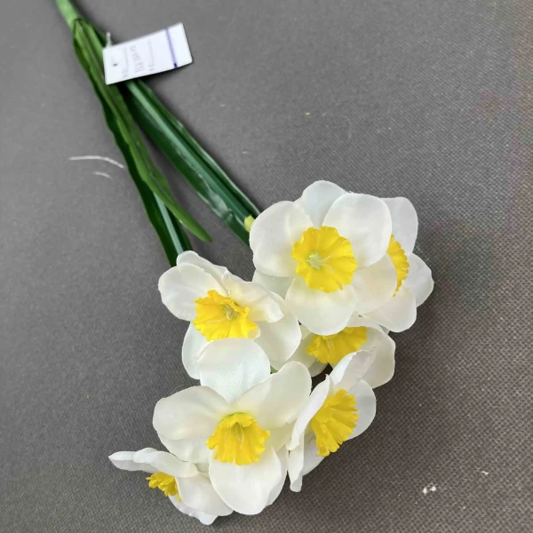 YSZ22202_1 YSZ22202_1