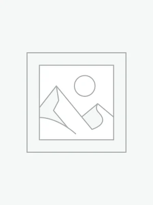 mall red fruit wreath YS220165