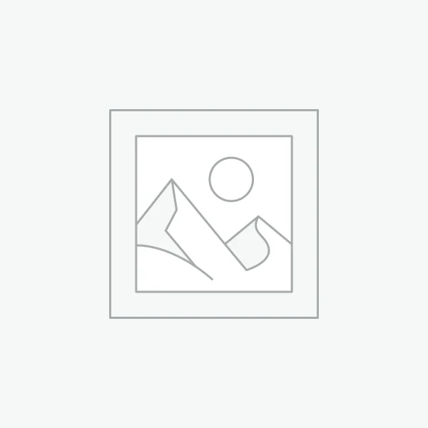 mall red fruit wreath YS220165